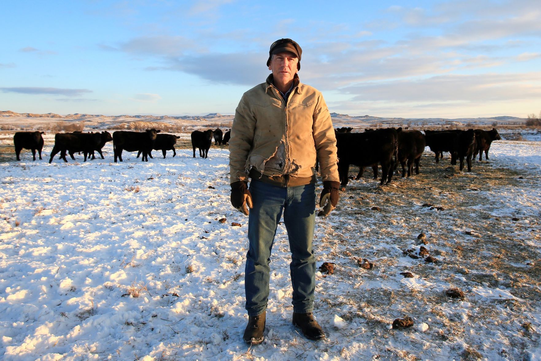 Scot Robinson and his herd